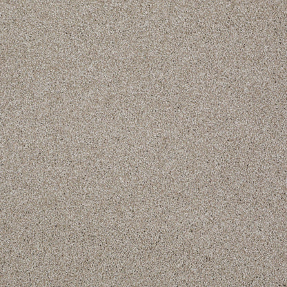 TEXTURE BCF