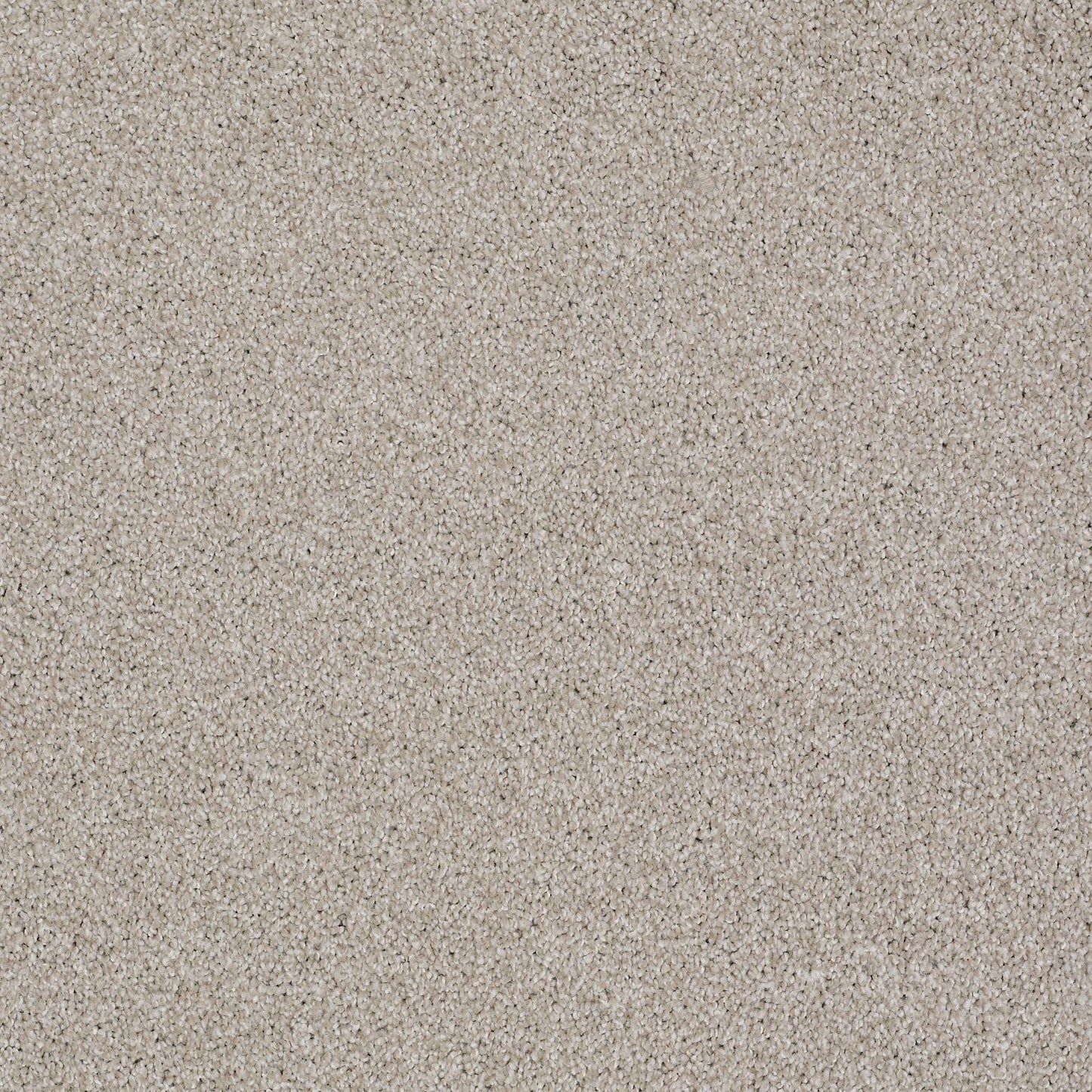 TEXTURE BCF