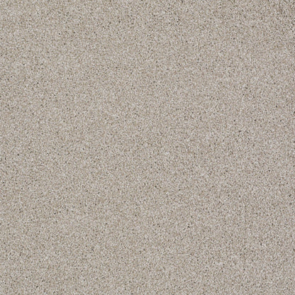 TEXTURE BCF