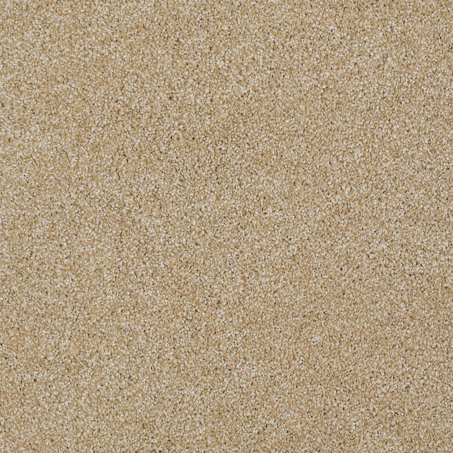 TEXTURE BCF