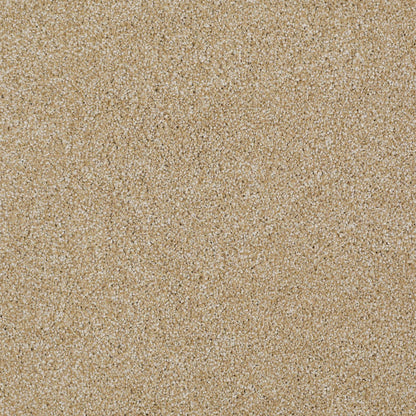 TEXTURE BCF