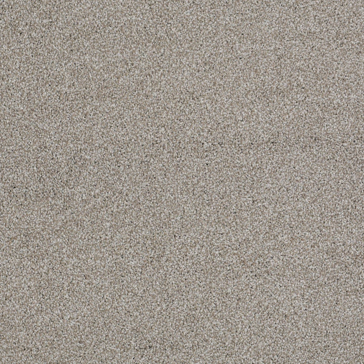 TEXTURE BCF