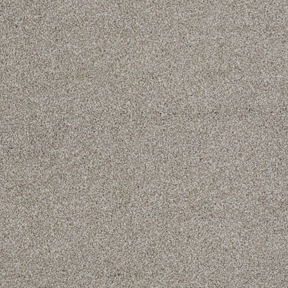 TEXTURE BCF