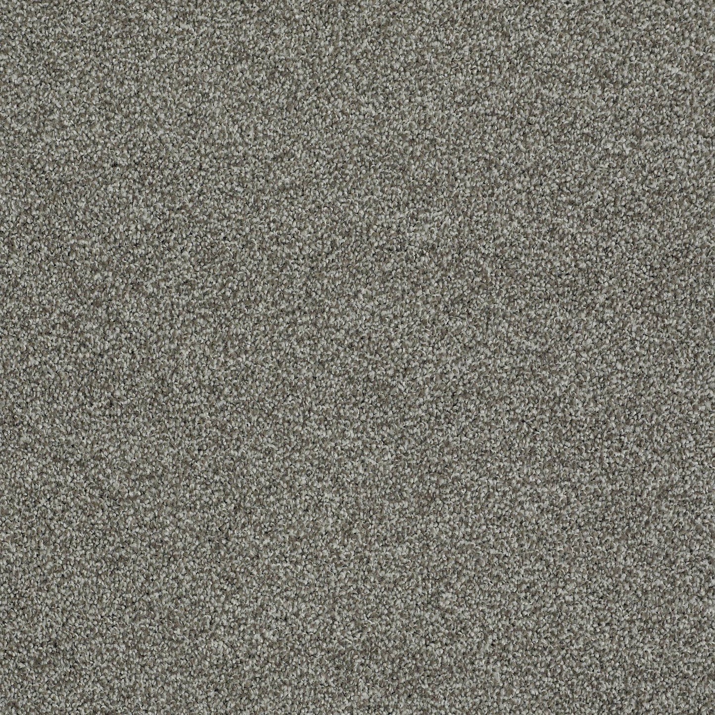 TEXTURE BCF