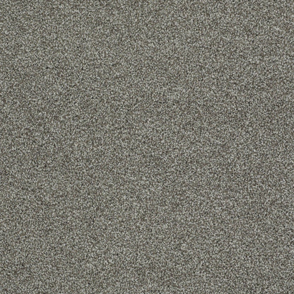 TEXTURE BCF