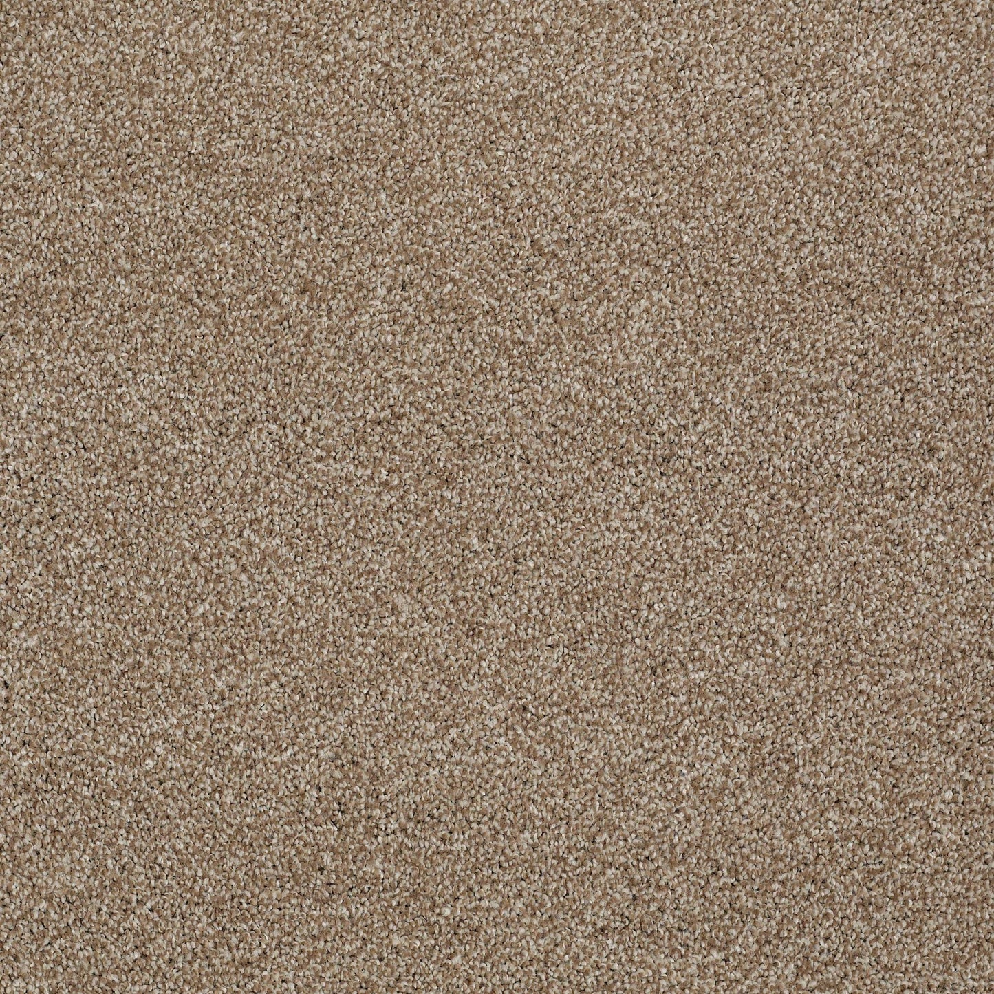 TEXTURE BCF