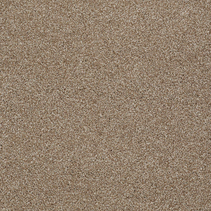 TEXTURE BCF