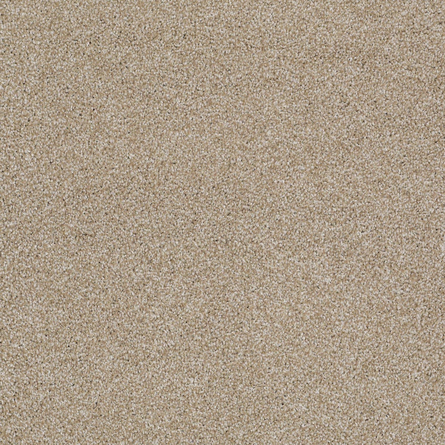 TEXTURE BCF