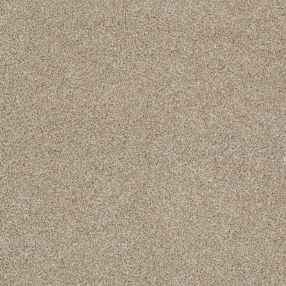 TEXTURE BCF