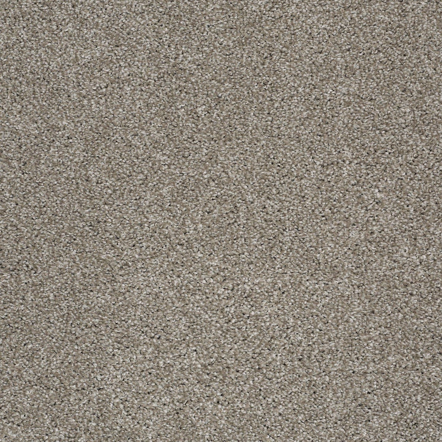 TEXTURE BCF