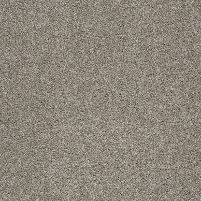 TEXTURE BCF