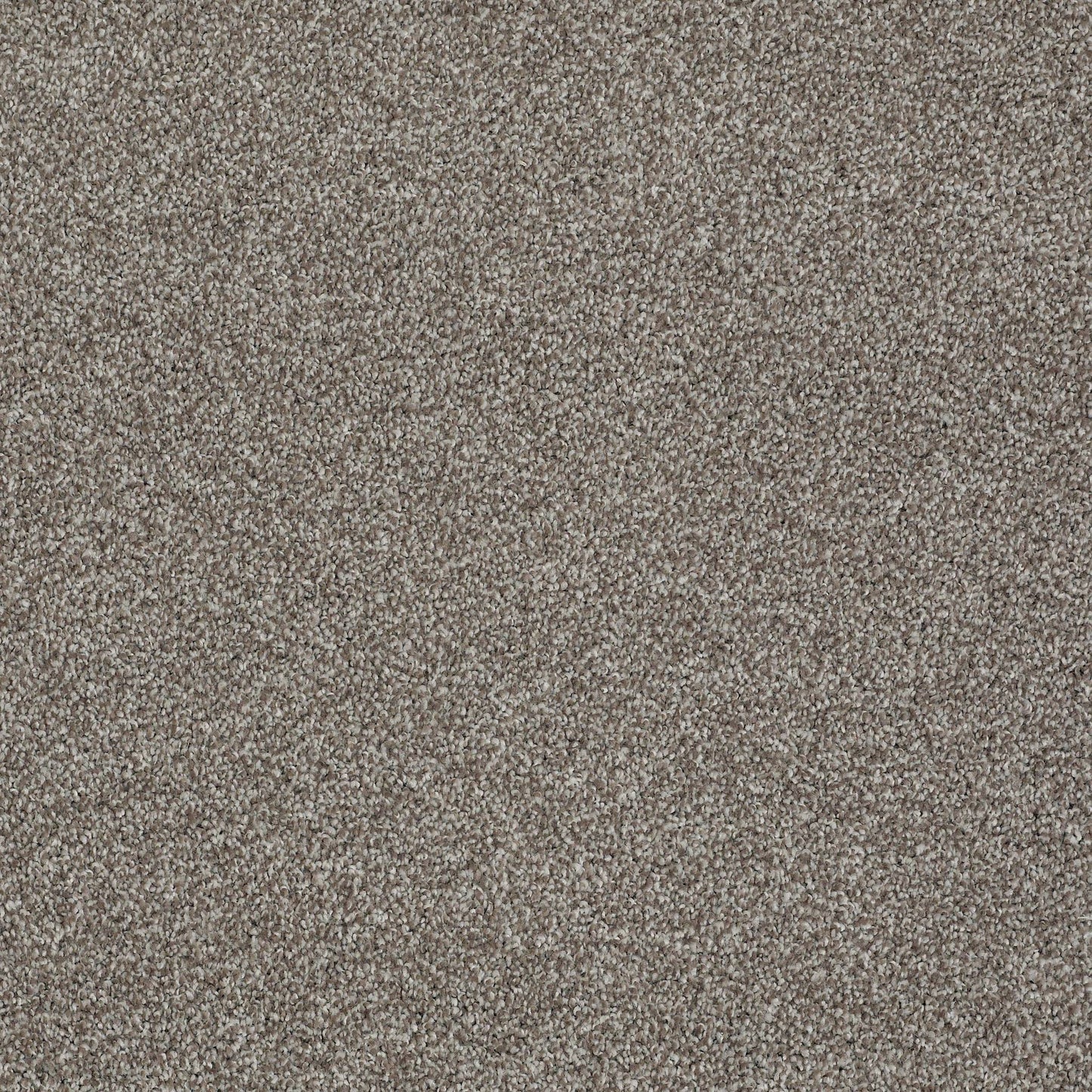 TEXTURE BCF