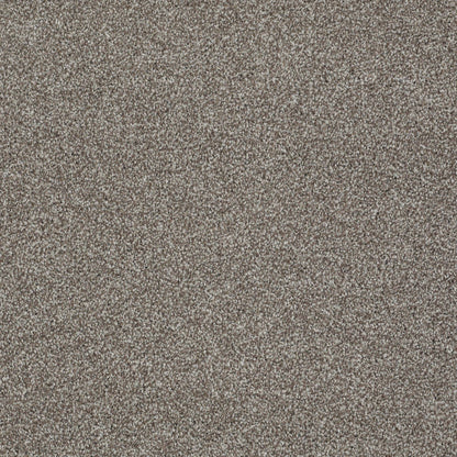 TEXTURE BCF