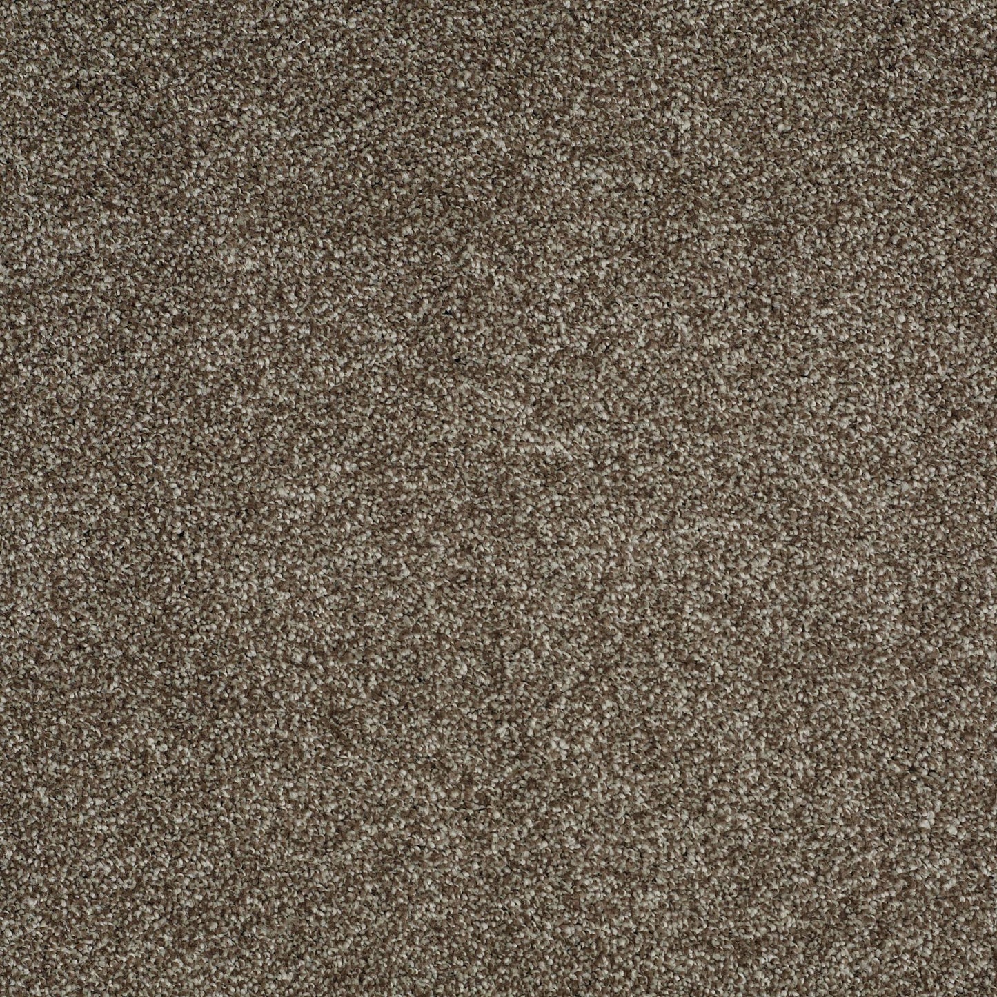 TEXTURE BCF
