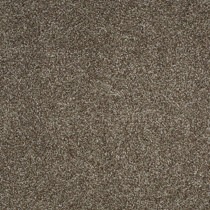 TEXTURE BCF