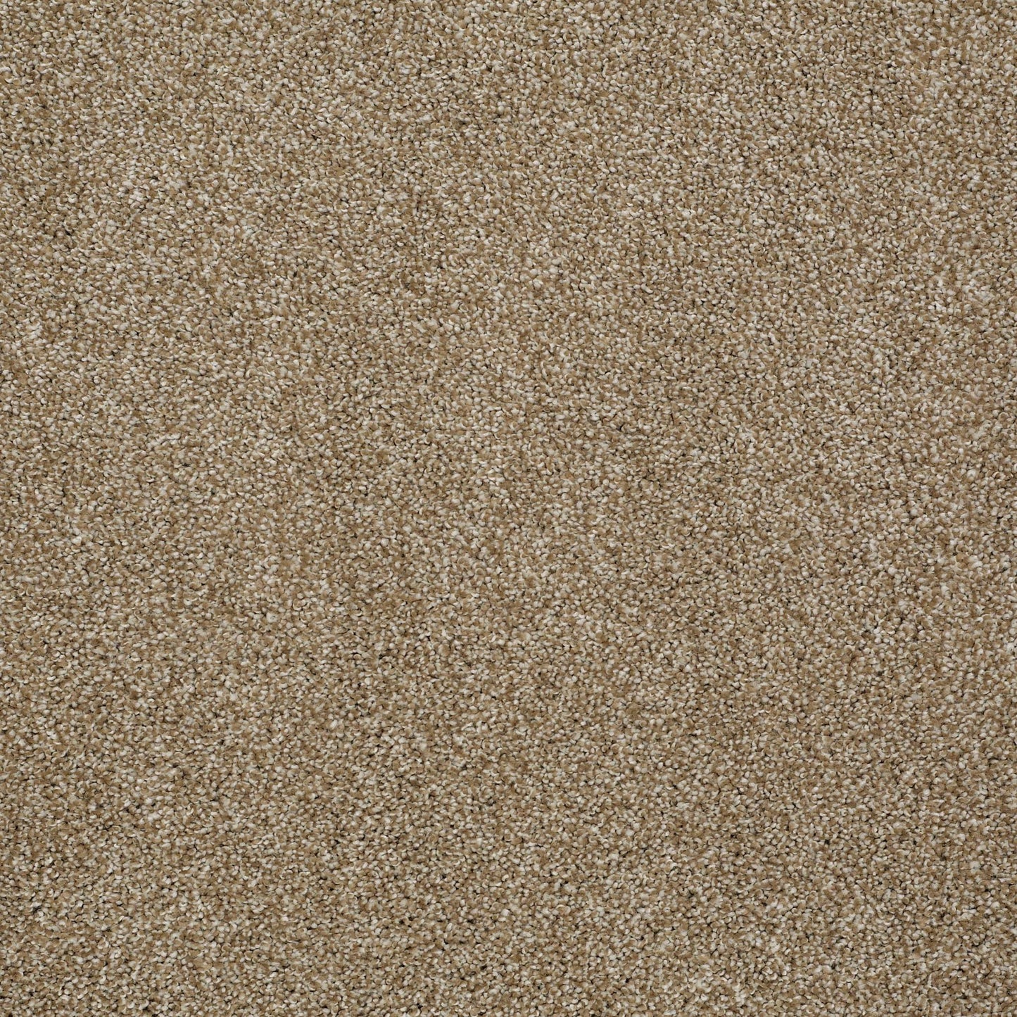 TEXTURE BCF