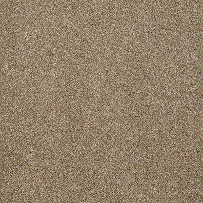 TEXTURE BCF