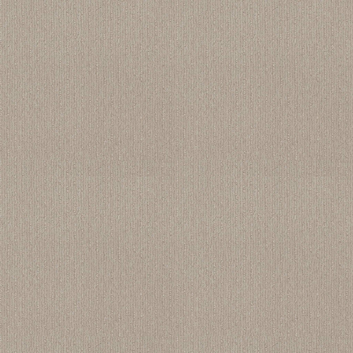 CUT UNCUT  R