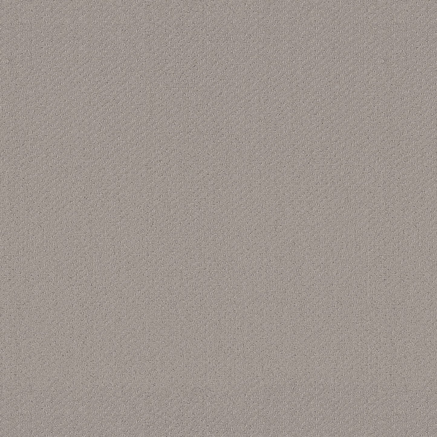 CUT UNCUT  R
