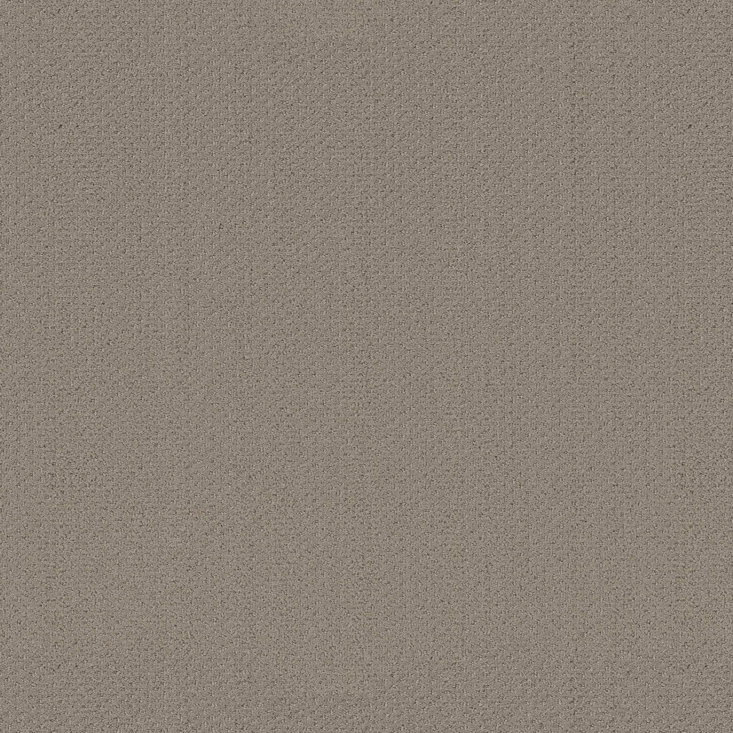 CUT UNCUT  R