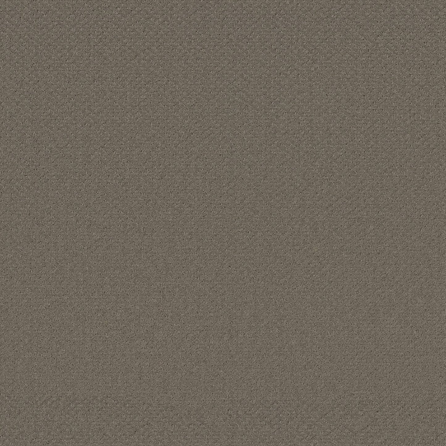 CUT UNCUT  R