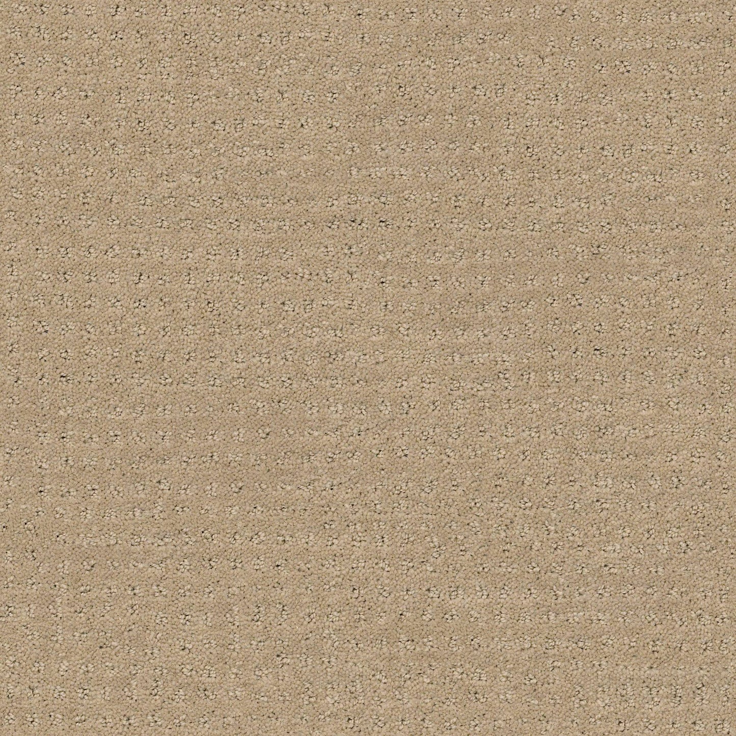 CUT UNCUT  R