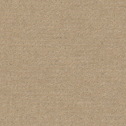 CUT UNCUT  R