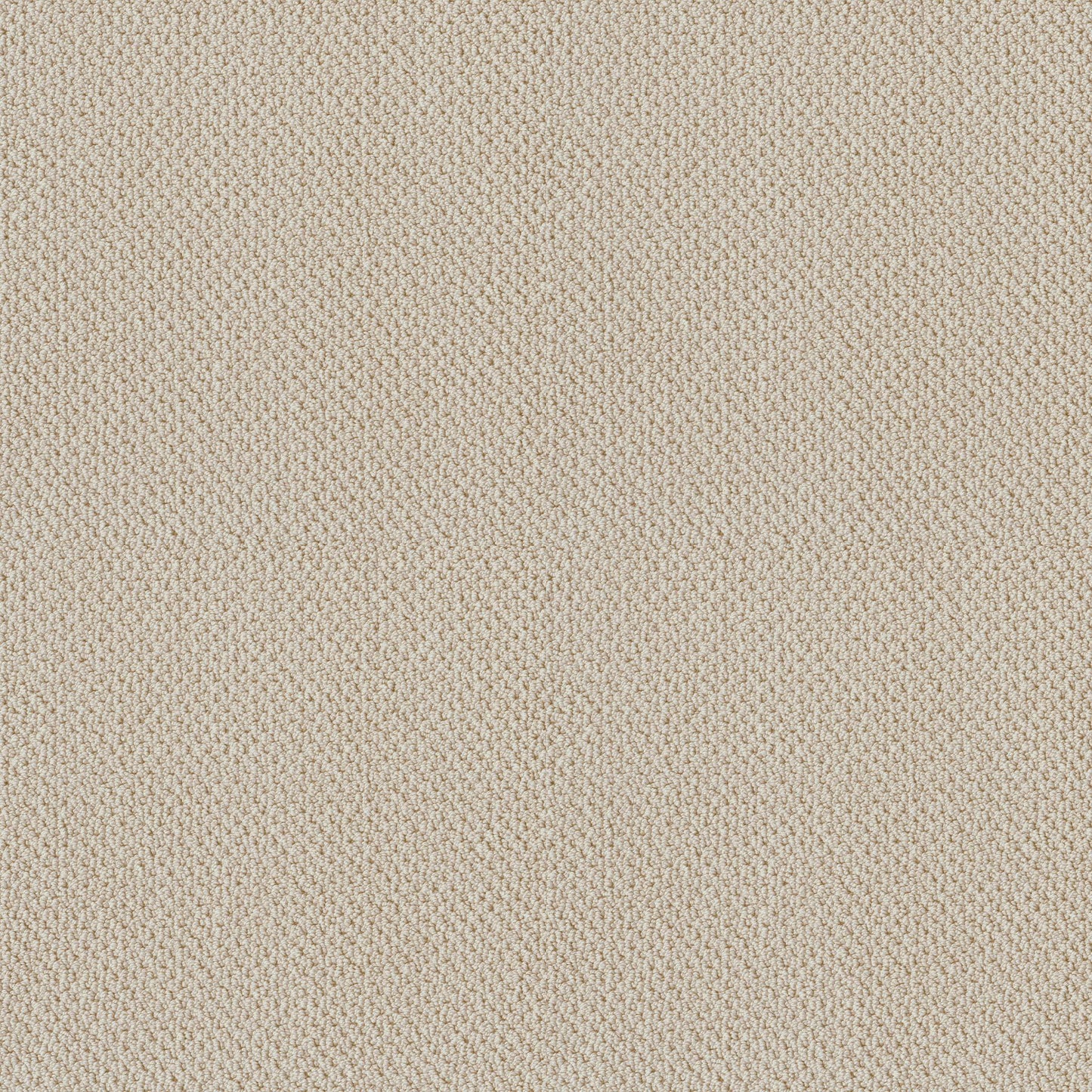 BERBER NYLON LOOP