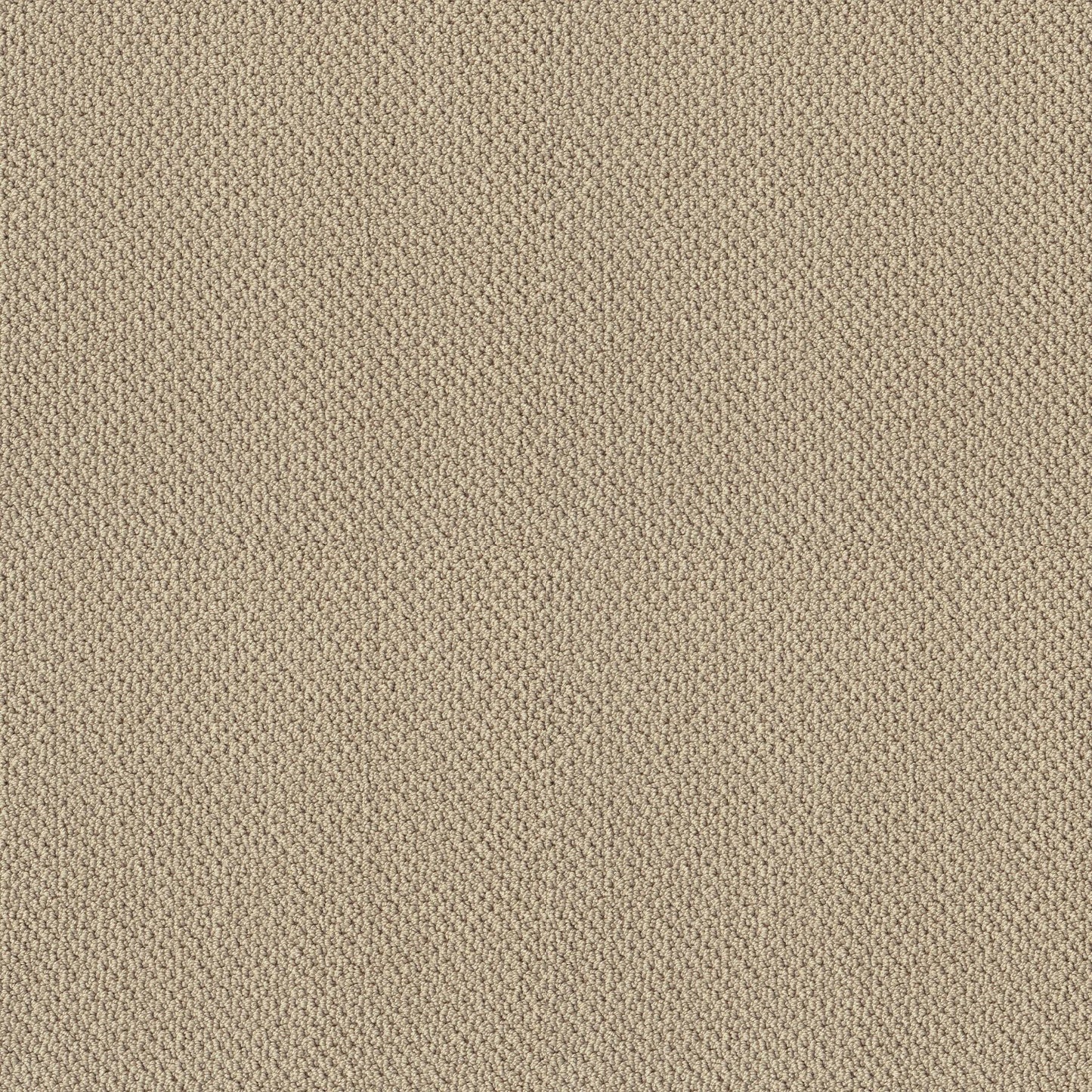 BERBER NYLON LOOP