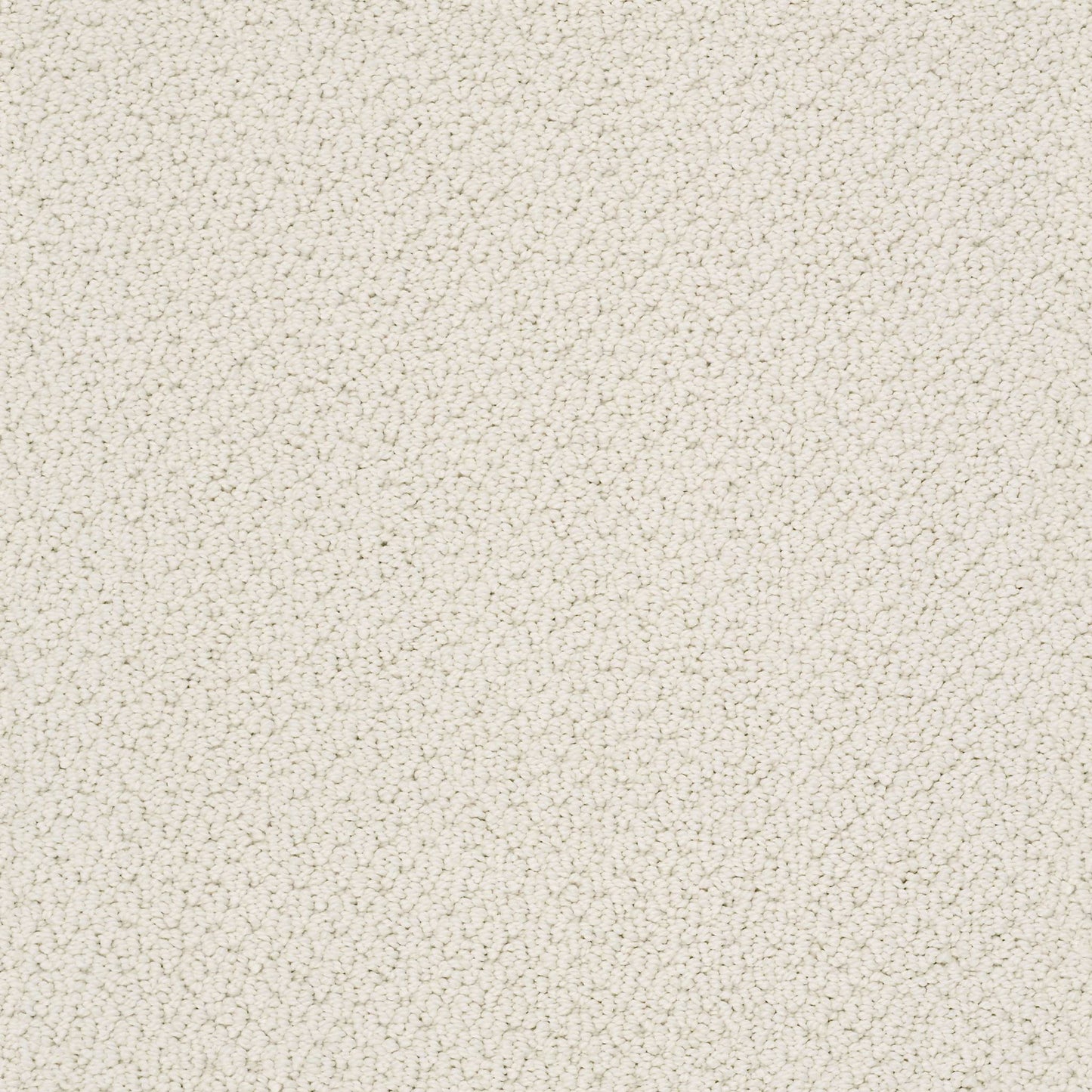 BERBER NYLON LOOP