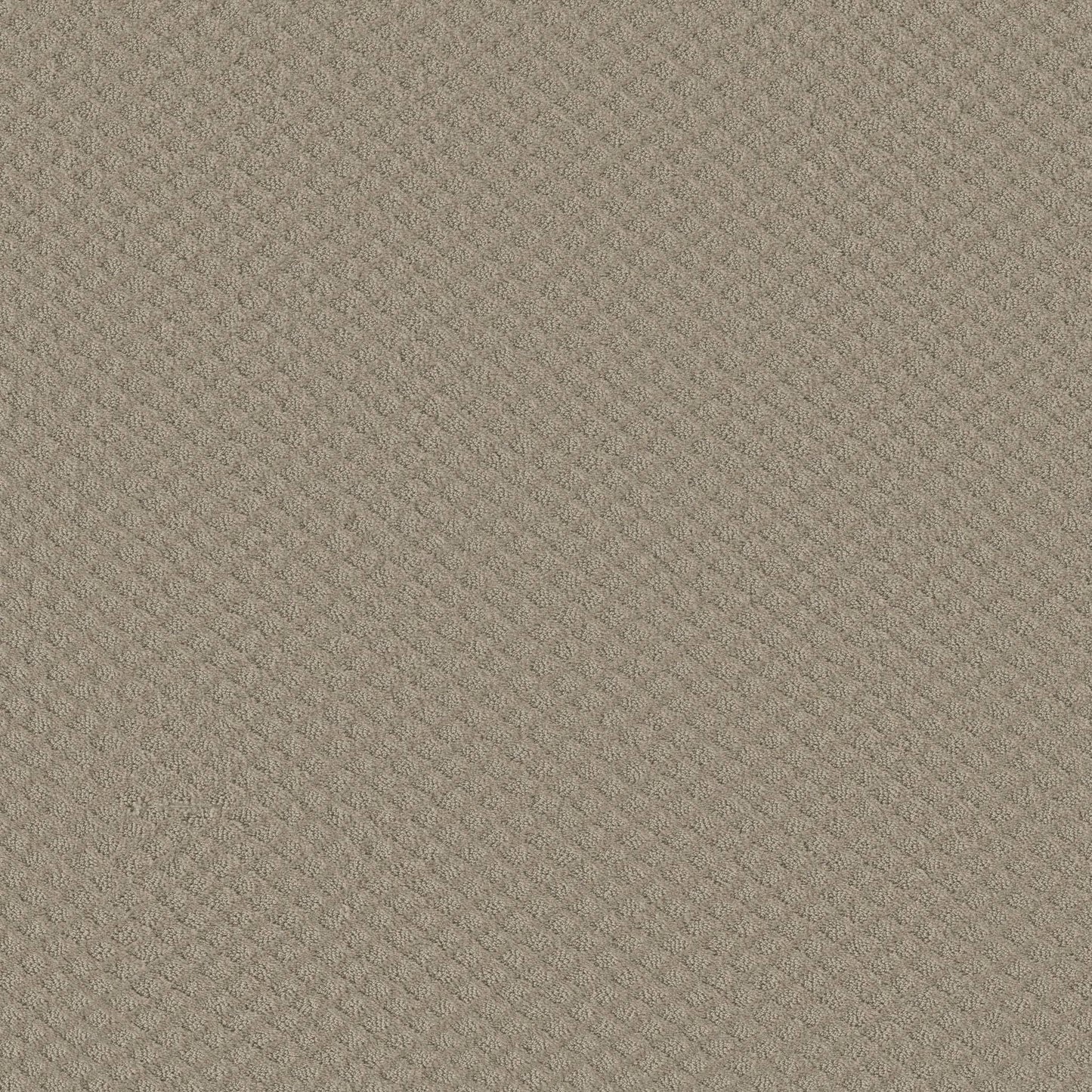 CUT UNCUT  R