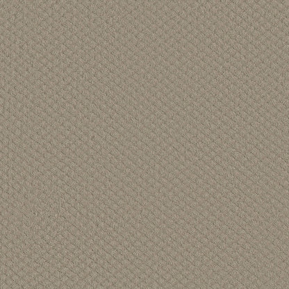 CUT UNCUT  R