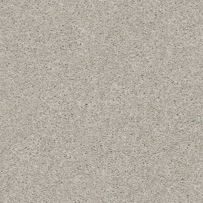PET BCF