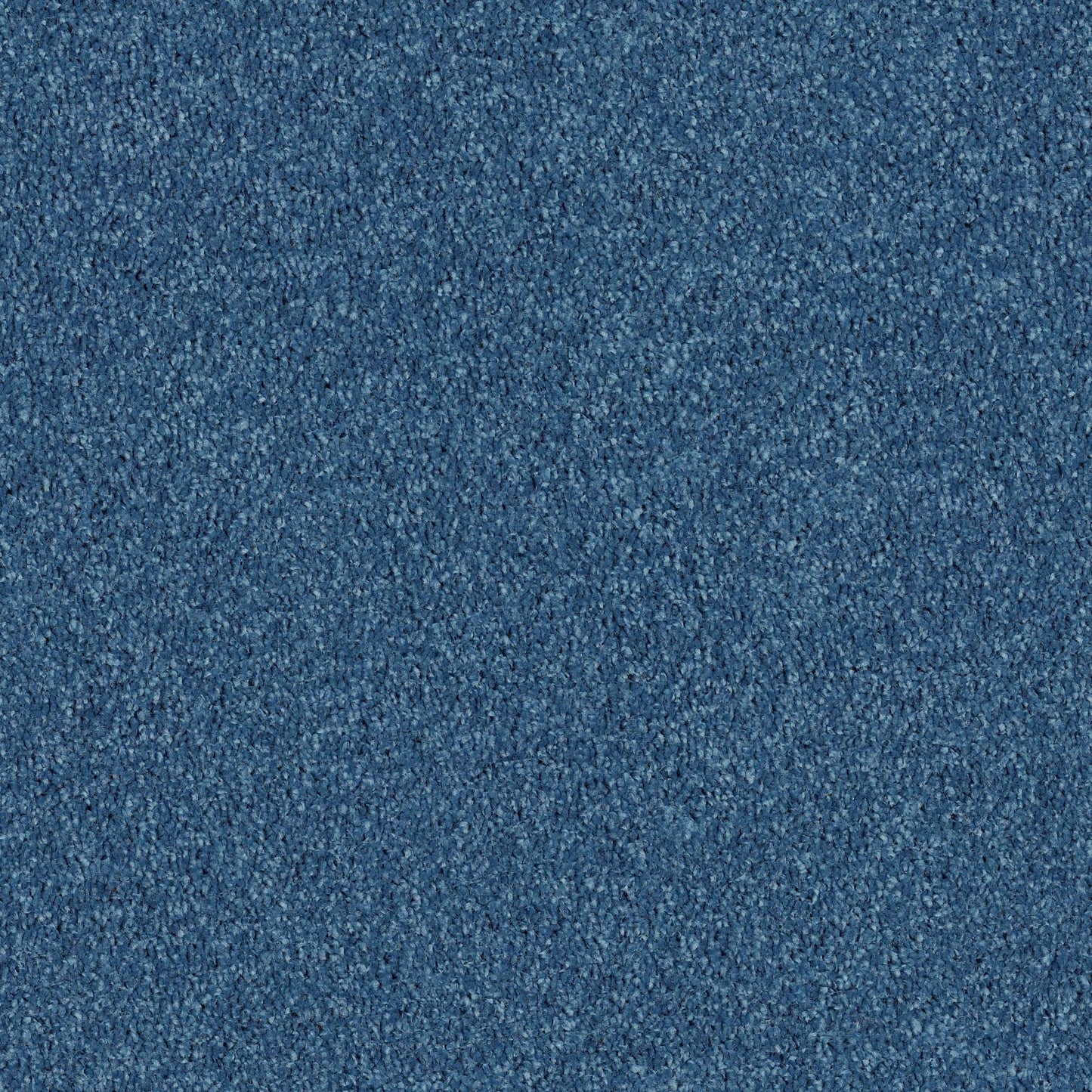 PET BCF