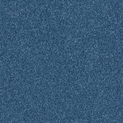 PET BCF