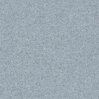PET BCF
