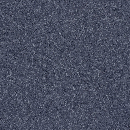 PET BCF