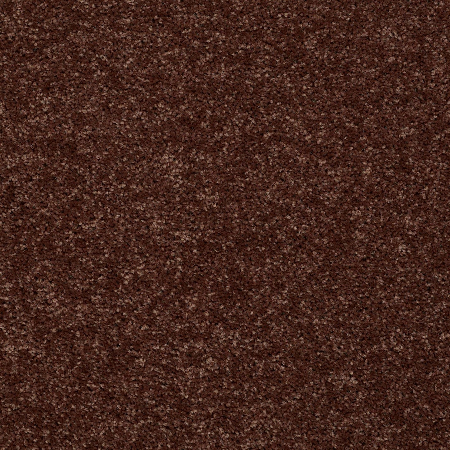 PET BCF