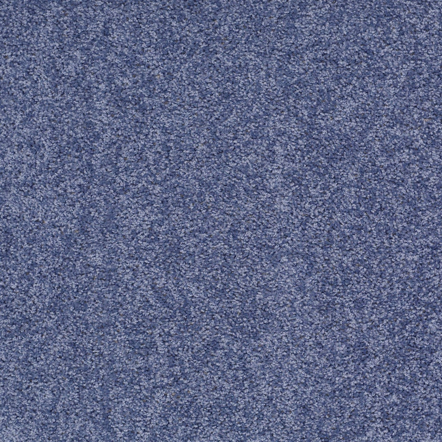 PET BCF