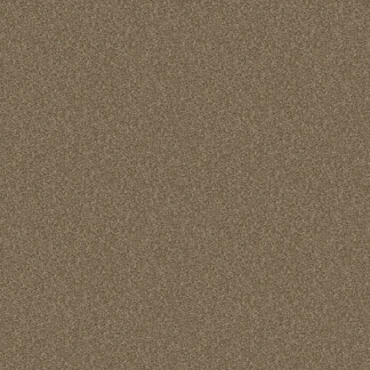 PET BCF