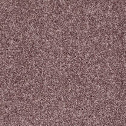 PET BCF