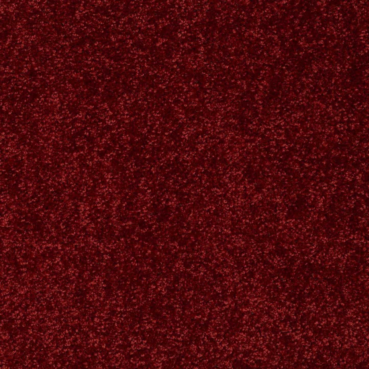 PET BCF