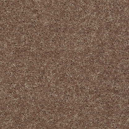PET BCF