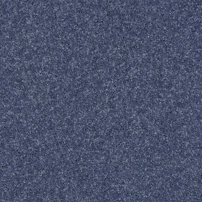 PET BCF