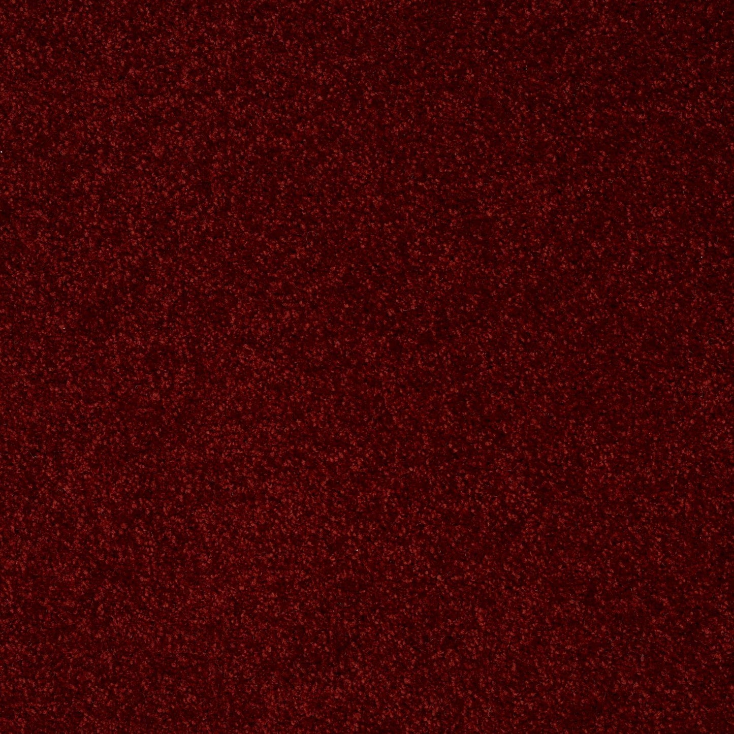 PET BCF