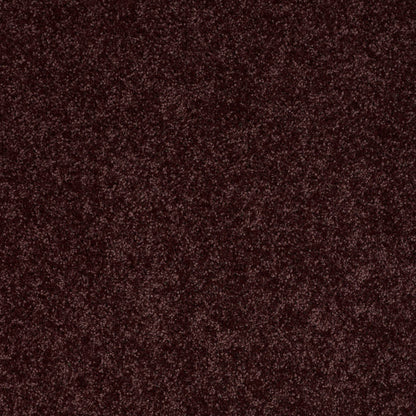 PET BCF