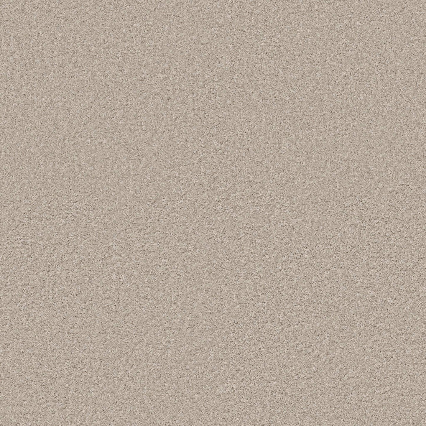 TEXTURE BCF
