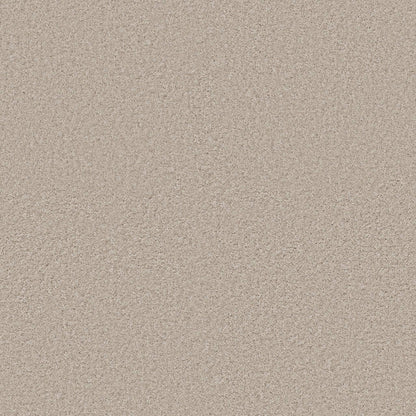 TEXTURE BCF