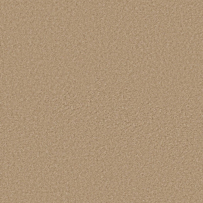 TEXTURE BCF