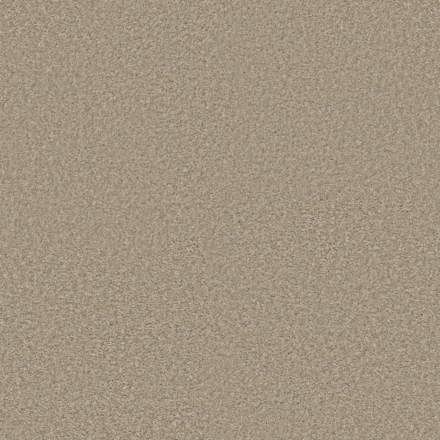 TEXTURE BCF
